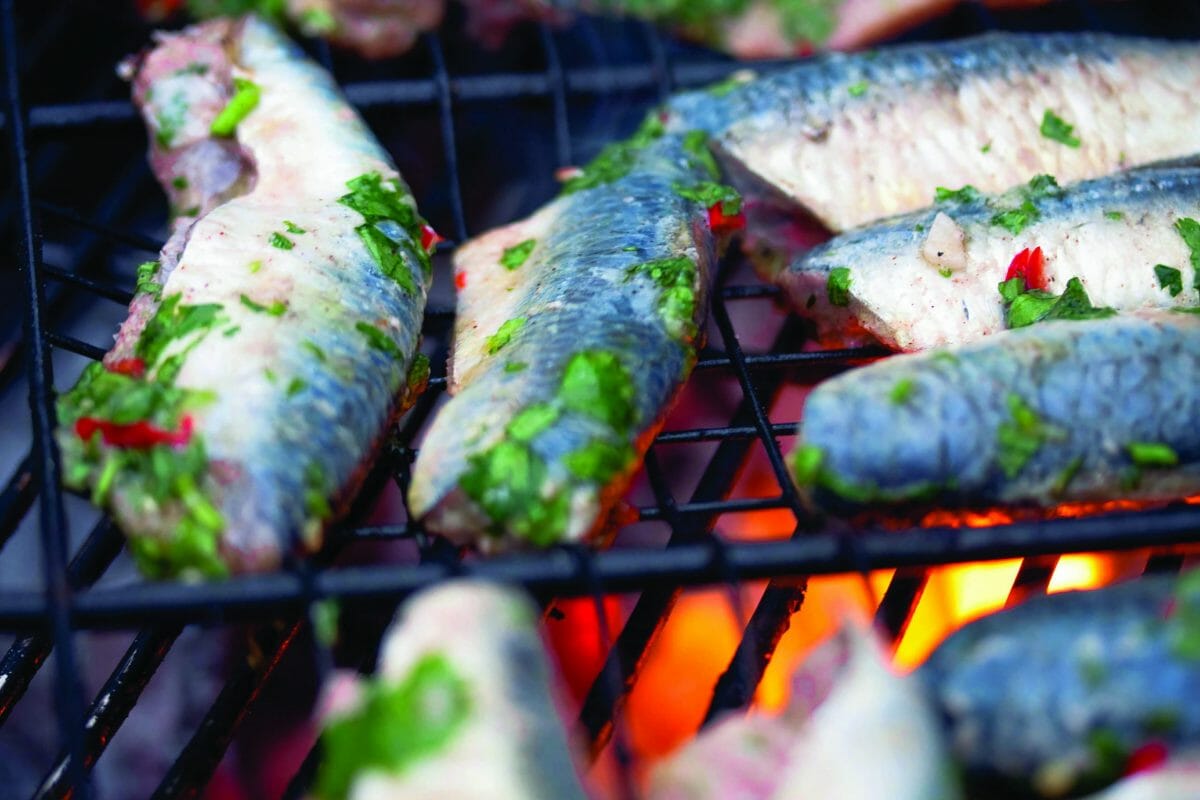 Marinated and Grilled Sardines on a Slice of Bread