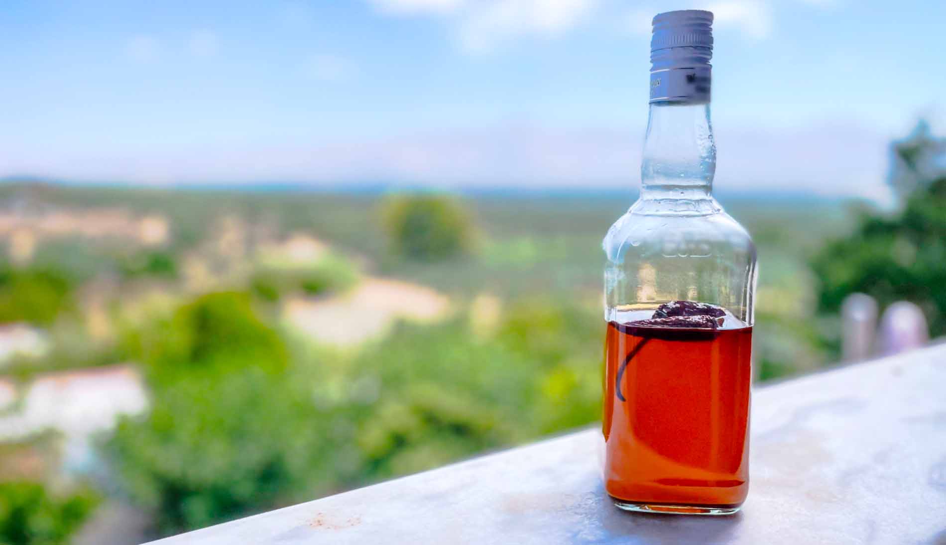 Smoked Chipotle Chili Oil